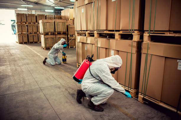 Best Termite Control Services  in Sleepy Hollow, WY