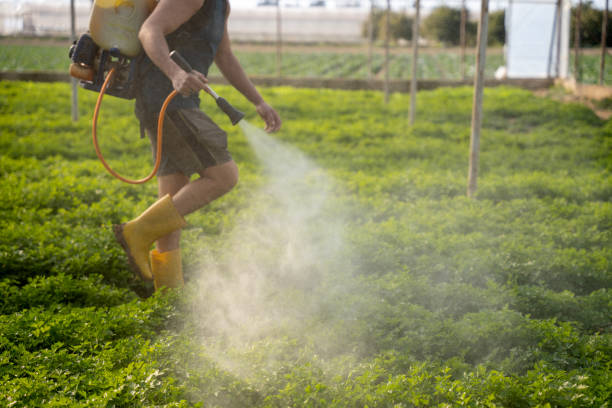 Pest Prevention Services in Sleepy Hollow, WY