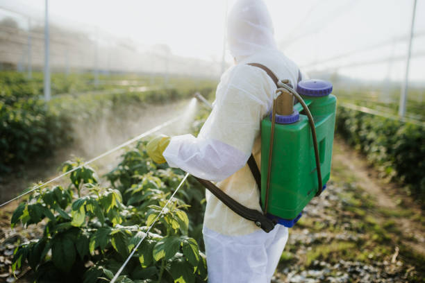 Pest Control for Restaurants in Sleepy Hollow, WY